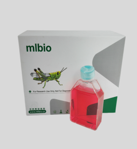 HIBEpiC人肝內膽管上皮細胞主圖