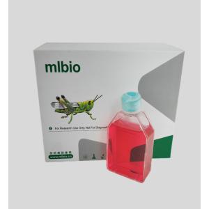 人牙齦成纖維細(xì)胞主圖