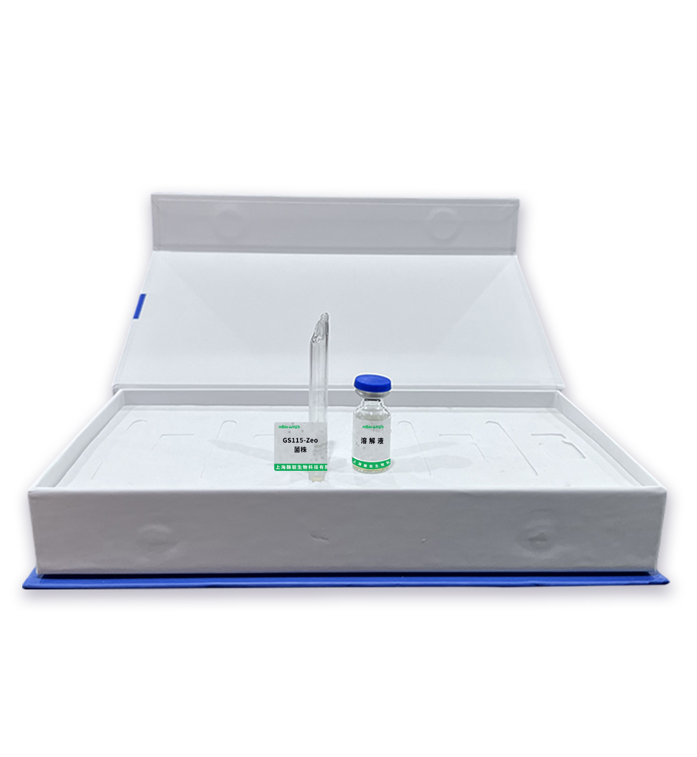 GS115-Zeo菌株主圖