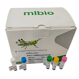 氣單胞菌通用探針?lè)╭PCR試劑盒(不含內(nèi)參)主圖