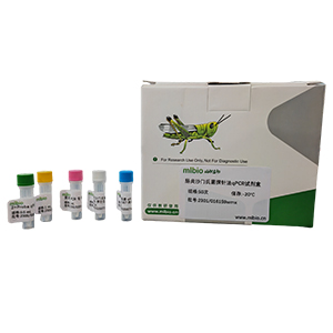 禽腎炎病毒1型探針法qRT-PCR試劑盒（不含內參）主圖