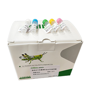 雞痘病毒探針法qPCR試劑盒(不含內參)主圖