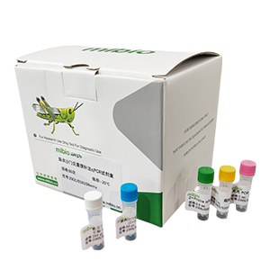 牛病毒性腹瀉病毒探針法qRT-PCR試劑盒(不含內參)主圖