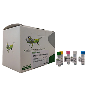 酵母菌通用探針法LAMP試劑盒(不含內(nèi)參)主圖