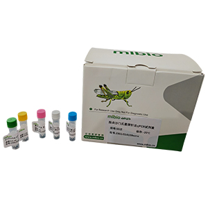 產(chǎn)氣莢膜梭狀芽孢桿菌A型探針?lè)╭PCR試劑盒(含內(nèi)參)主圖