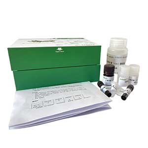 輔酶2 NADP(H)含量(WST-8法)試劑盒主圖