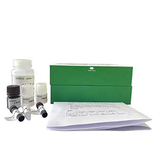 乳酸氧化酶(LOD)活性測定試劑/分光法主圖