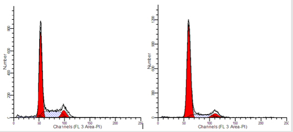 流式細胞結果示意圖