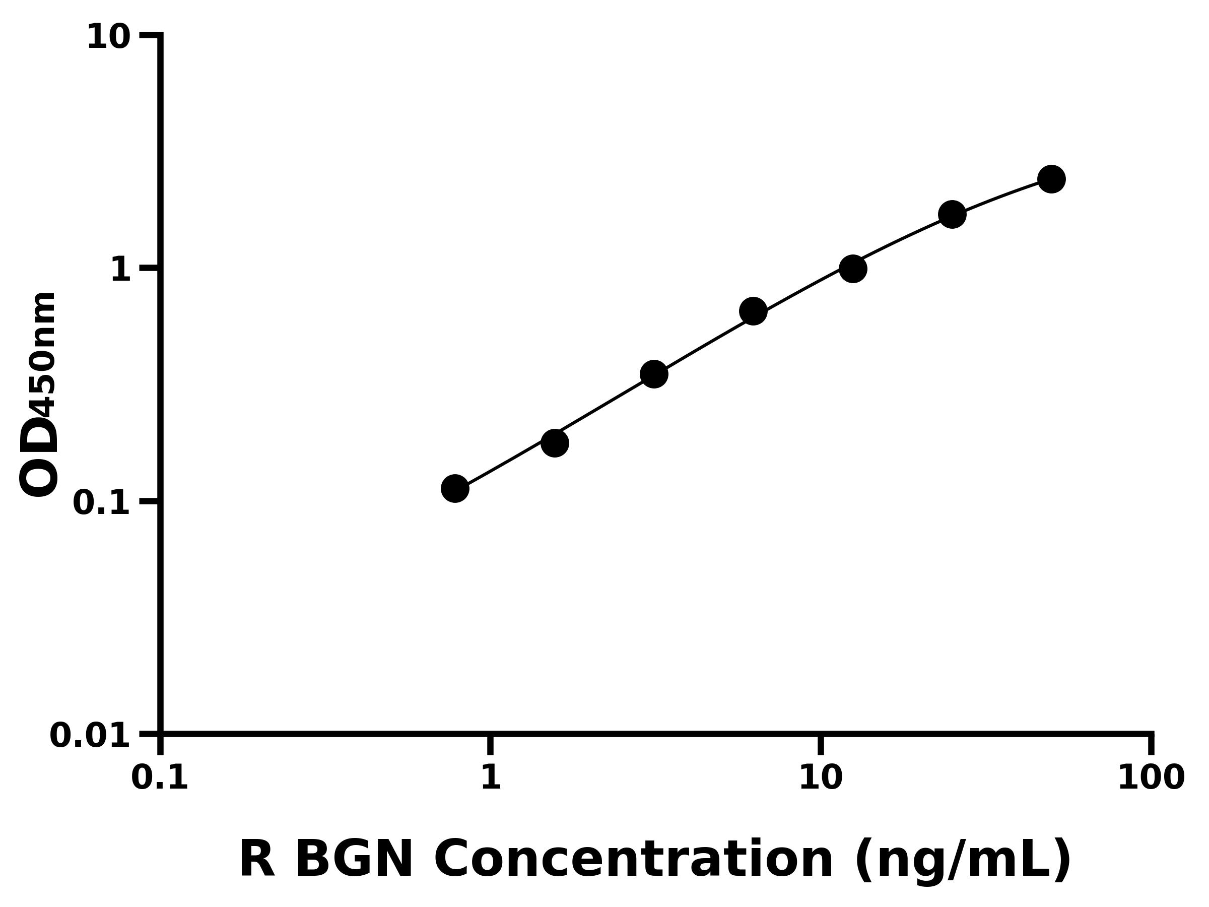 大鼠雙糖鏈蛋白聚糖(BGN)主圖